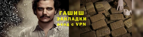 шишки Гатчина
