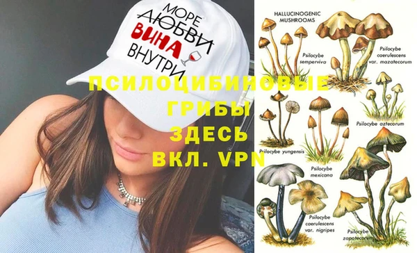 МДПВ Заводоуковск