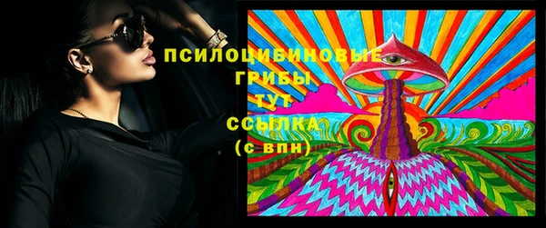 МДПВ Заводоуковск