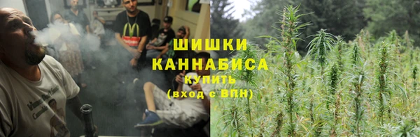 МДПВ Заводоуковск