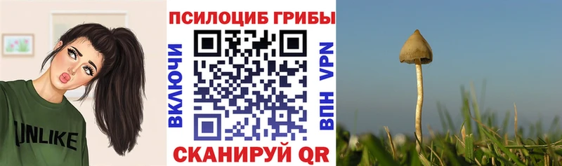 гидра сайт  Карабаново  Псилоцибиновые грибы Magic Shrooms  закладки 